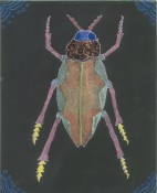 Beetle 10/03