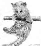 Hanging Cat 08/06